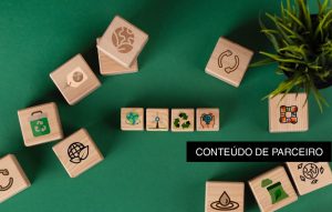 Leia mais sobre o artigo A Importância do marketing no crescimento sustentável e bem-sucedido